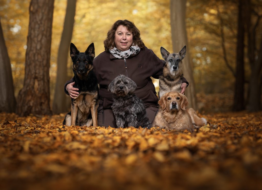 Hundetraining in Garbsen, Hundetrainerin, Hund